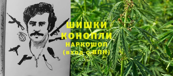 спиды Няндома