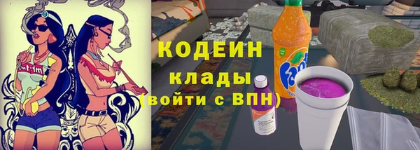 спиды Няндома