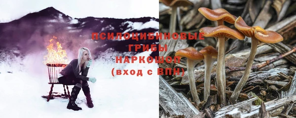 мет Нязепетровск