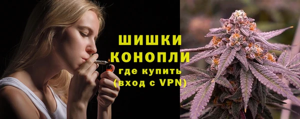 спиды Няндома