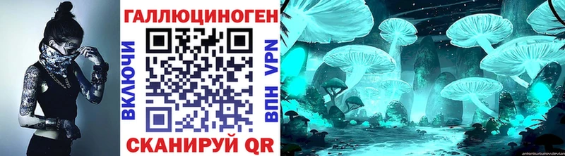 Галлюциногенные грибы Psilocybe купить Шиханы